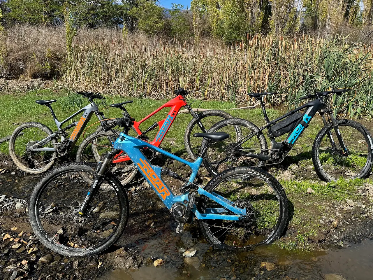 Four mud-marked Roar development bikes, red, blue, grey and black, standing in and beside a shallow creek.